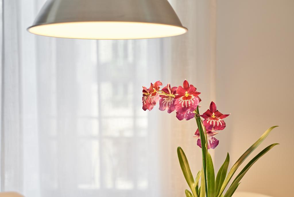 Apartamentos Ponte Nova Porto Zewnętrze zdjęcie