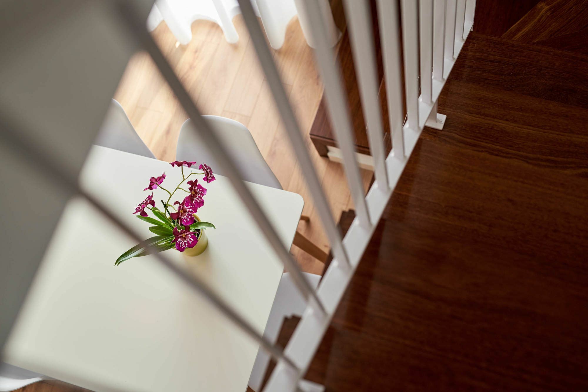 Apartamentos Ponte Nova Porto Zewnętrze zdjęcie